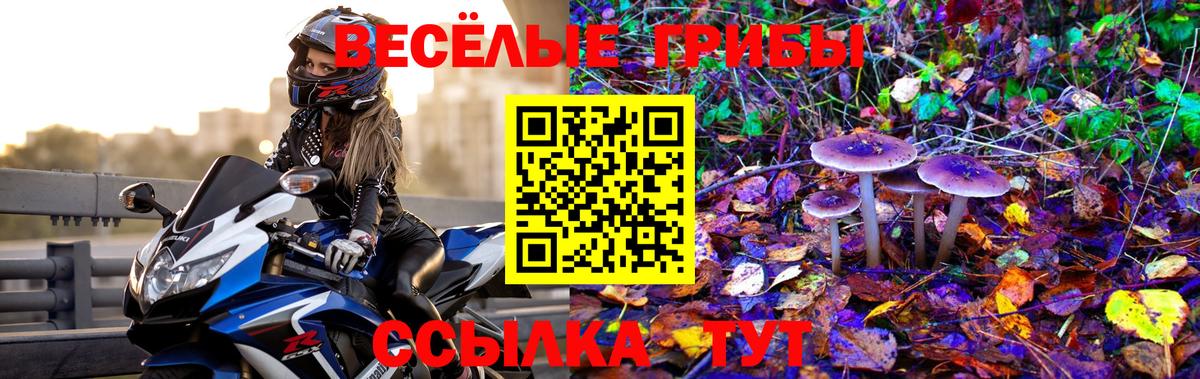 Псилоцибиновые грибы Magic Shrooms  Галлюциногенные грибы Cubensis  Аксай  Вход с VPN 